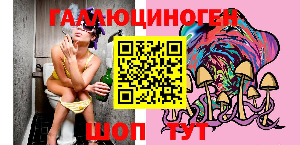 Железногорск  Галлюциногенные грибы Cubensis  Вход с VPN 